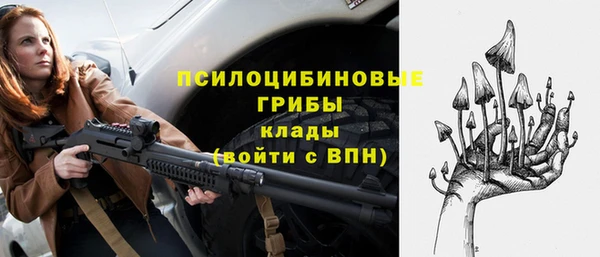 прущая мука Пересвет