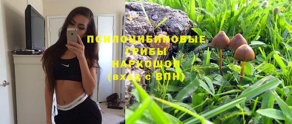 твердый Пестово