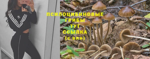 твердый Пестово