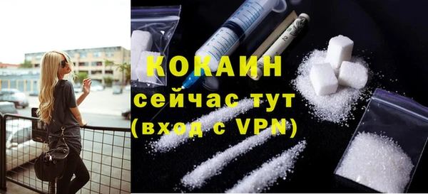 твердый Пестово