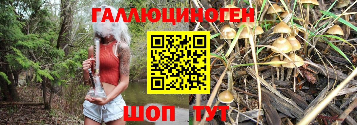 Галлюциногенные грибы GOLDEN TEACHER Протвино