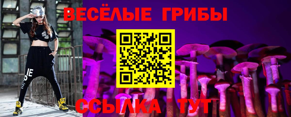 Протвино  Галлюциногенные грибы Magic Shrooms  Вход с VPN 