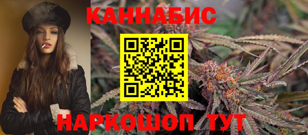 Бошки Шишки план Протвино